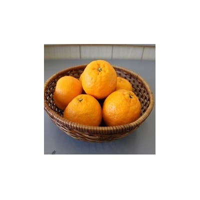 金山パイロットファームの【ポンカン5kg】