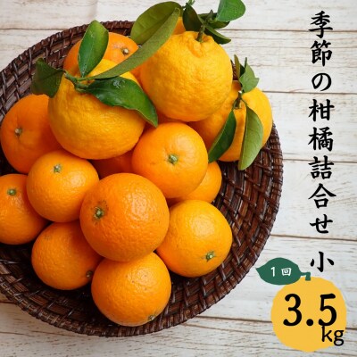 6自然塾　季節の柑橘詰合せ　小【1回】