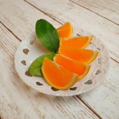 6自然塾　季節の柑橘詰合せ　小【1回】