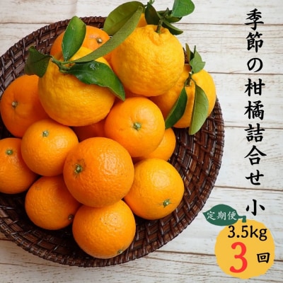 7自然塾　季節の柑橘詰合せ　小【定期便3回】