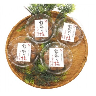 熊野乃梅「うす塩」小分け4パックセット