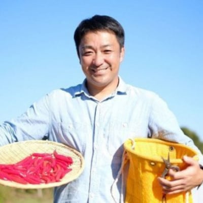 【テレビで紹介されました】熊野唐辛子ギフト3(一味唐辛子(プサジュエラ・プリッキーヌ)+生唐辛子)