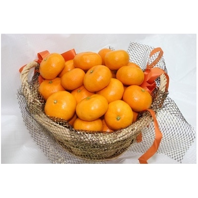 仲森農園の【完熟】熊野みかん(7kg)