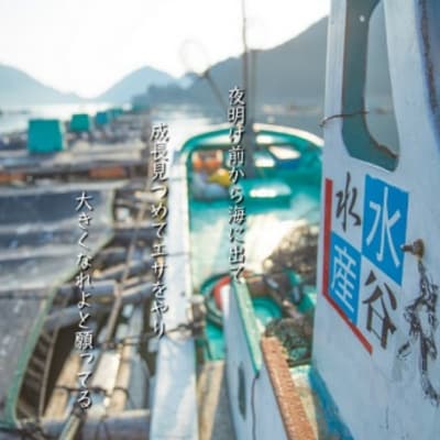 【テレビで紹介されました】水谷水産【新姫　熊野鯛】 お刺身用短冊 (冷凍)