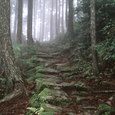 入鹿温泉ホテル瀞流荘　湯元山荘湯ノ口温泉　宿泊及びレストラン利用割引券　5,000円分