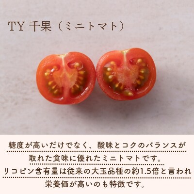 熊野薬草園のミニトマト(1.2kg×2箱) トマト 熊野
