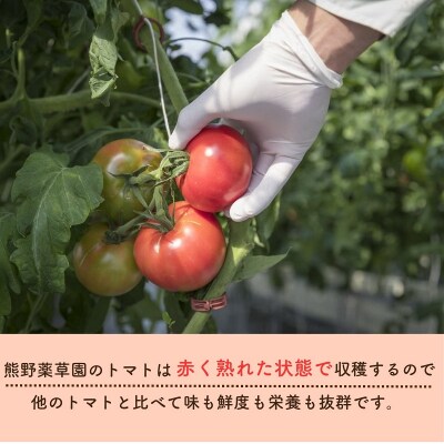 熊野薬草園のトマトMIX(1.8kg×2箱) 