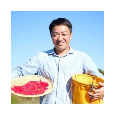 【テレビで紹介されました】一味唐辛子　黄とうがらし