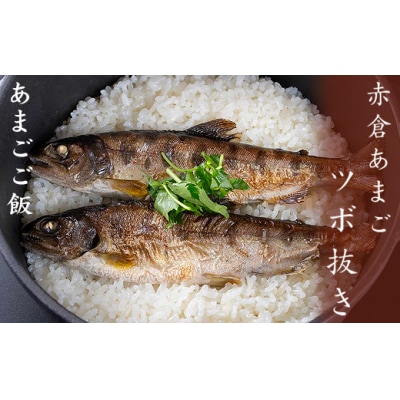 あまごツボ抜き　2本入り　下処理済み　塩焼きや色々なお料理に