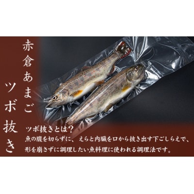 あまごツボ抜き　2本入り　下処理済み　塩焼きや色々なお料理に