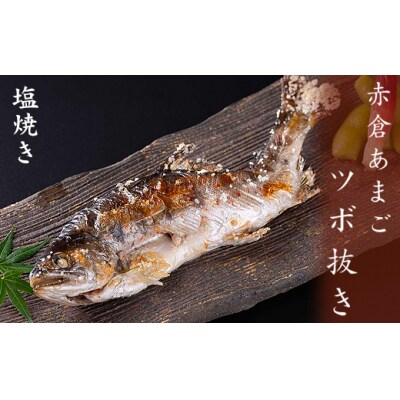 あまごツボ抜き　6本入り　下処理済み　塩焼きや色々なお料理に