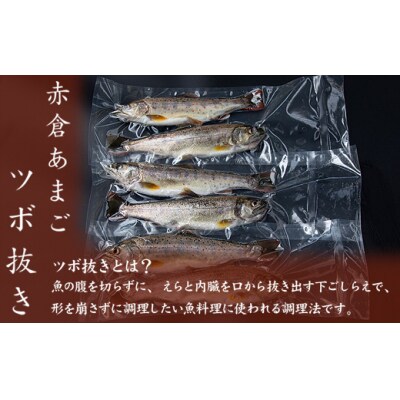 あまごツボ抜き　6本入り　下処理済み　塩焼きや色々なお料理に