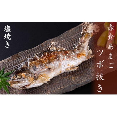 あまごツボ抜き　10本入り　下処理済み　塩焼きや色々なお料理に