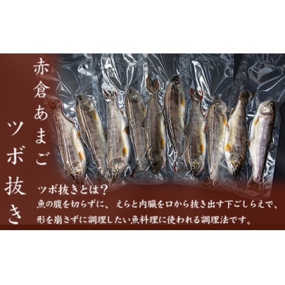 あまごツボ抜き　10本入り　下処理済み　塩焼きや色々なお料理に