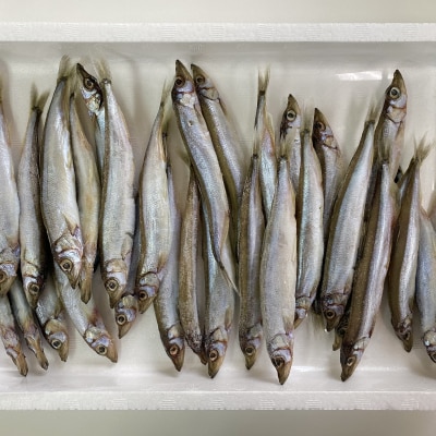 美味しく減塩 減塩干物 かぺりん丸干し (からふとししゃも)