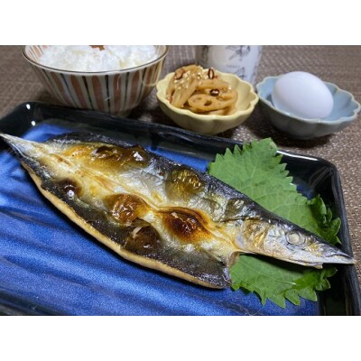 【定期便3回】奇数月にお届け 干物詰め合わせ 季節の干物 あじ さんま えび