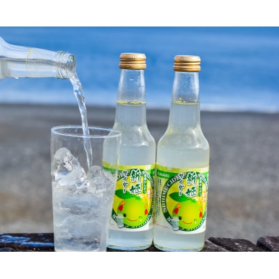 三重県熊野市産 新姫 サイダー 250ml × 12本