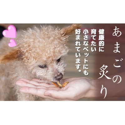 あまごの炙り　10袋(20枚)　ひれ酒　ペットのおやつ