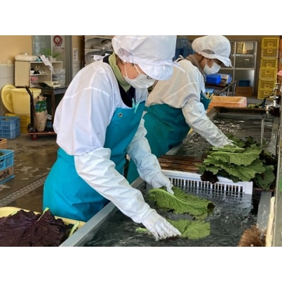 熊野特産　たかな漬 「めはり用」 含む 3種各2袋セット 【化粧箱入り】