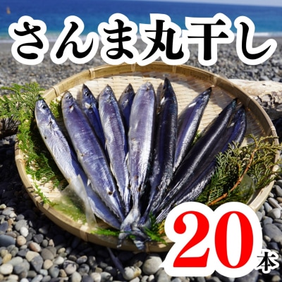 さんま丸干し 20本 魚作商店 3代目の丸干し製法