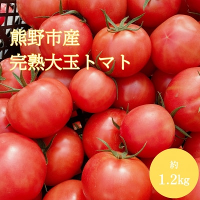 熊野薬草園の大玉トマト(1.2kg) 