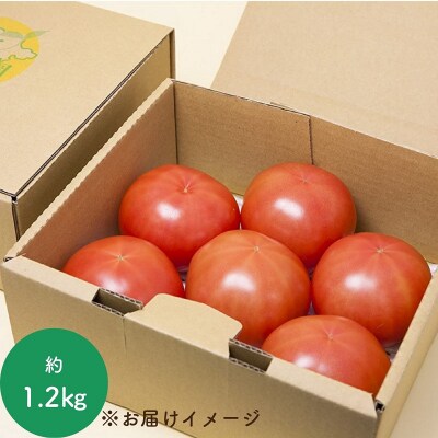 熊野薬草園の大玉トマト(1.2kg) 