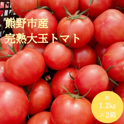 熊野薬草園の大玉トマト(1.2kg×2箱)