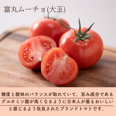 熊野薬草園の大玉トマト(1.2kg×2箱)