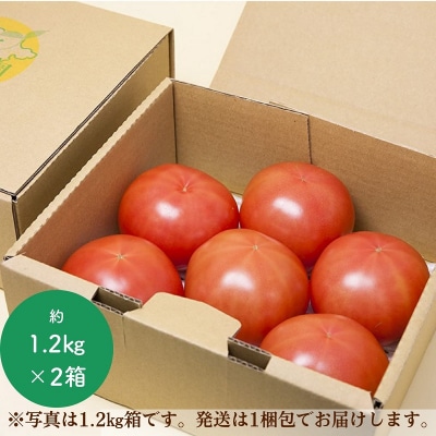 熊野薬草園の大玉トマト(1.2kg×2箱)