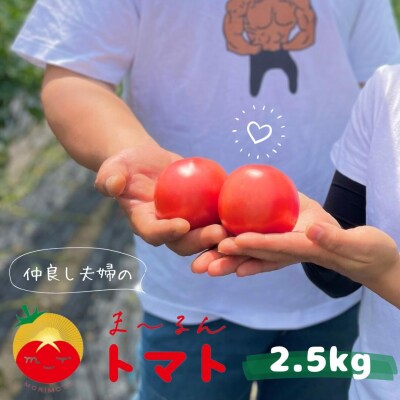 熊野市産 仲良し夫婦の ま～るんトマト 2.5kg