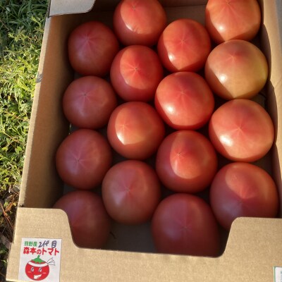 熊野市産 仲良し夫婦の ま～るんトマト 2.5kg