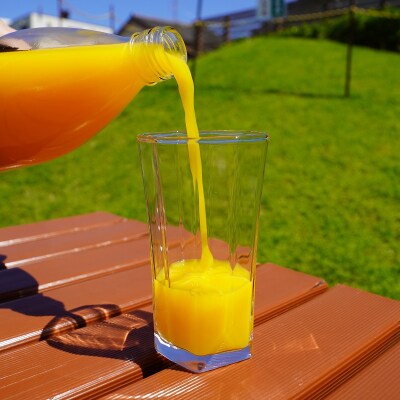 仲森農園の【麗紅甘熟みかんじゅーす】(6本) れいこう みかん 柑橘