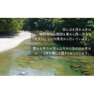 【令和8年新米】農家さんからのおすそわけ 飛鳥町 くわばらさんが作ったお米 5kg