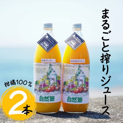 13.自然塾　柑橘100%まるごと絞りジュース　2本入り