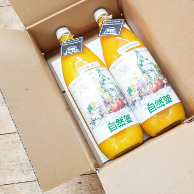 みかん ジュース【柑橘100%】まるごと絞りジュース 2本入り 13.自然塾
