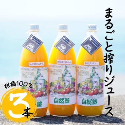 14.自然塾　柑橘100%まるごと絞りジュース　3本入り