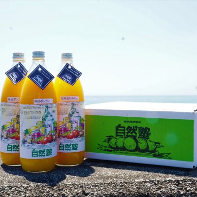 みかん ジュース【柑橘100%】まるごと絞りジュース 3本入り 14.自然塾
