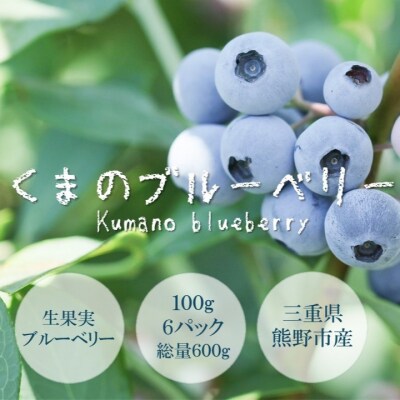 くまのブルーベリー(生果) 600g 熊野精工 熊野 果物 フルーツ