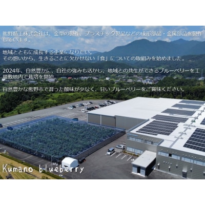 くまのブルーベリー(生果) 600g 熊野精工 熊野 果物 フルーツ