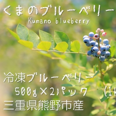 くまのブルーベリー(冷凍) 熊野精工 熊野 果物 フルーツ