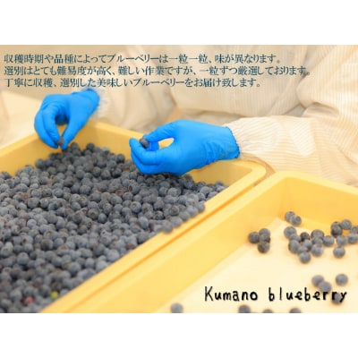 くまのブルーベリー(冷凍) 熊野精工 熊野 果物 フルーツ