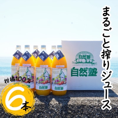 15.自然塾　柑橘100%まるごと絞りジュース　6本入り