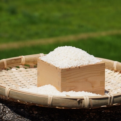 【令和7年新米】熊野市育生町 恥ずかしがり屋のおじいちゃんが作った自慢のお米 5kg