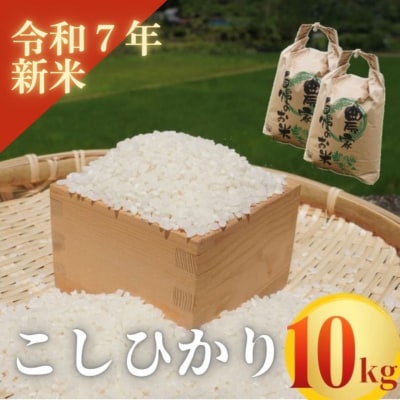 【令和7年新米】熊野市育生町 恥ずかしがり屋のおじいちゃんが作った自慢のお米 10kg