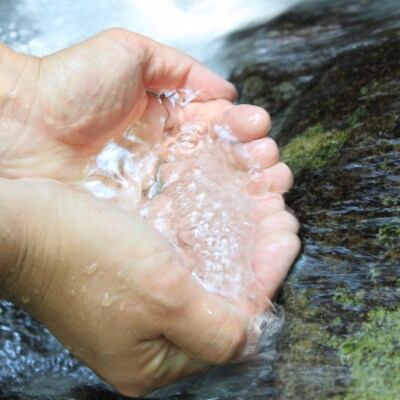 小分けタイプ!熊野地鶏肝セット～1kg以上～