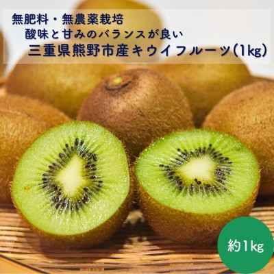 【自然栽培】三重県熊野市産キウイフルーツ(ヘイワード)(約1kg)