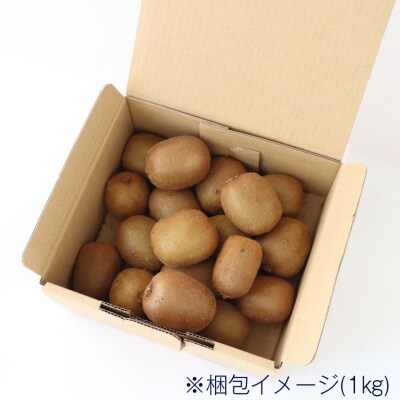 【自然栽培】三重県熊野市産キウイフルーツ(ヘイワード)(約3kg)