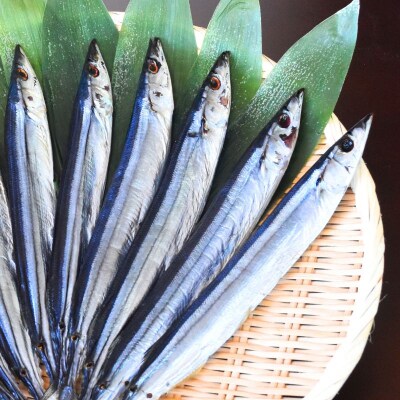 さんま干物6セット
