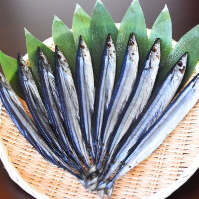 【寒作り】さんま丸干し 10本入り