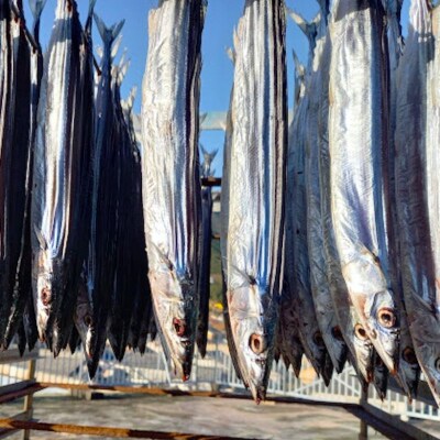 【寒作り】さんま丸干し 10本入り